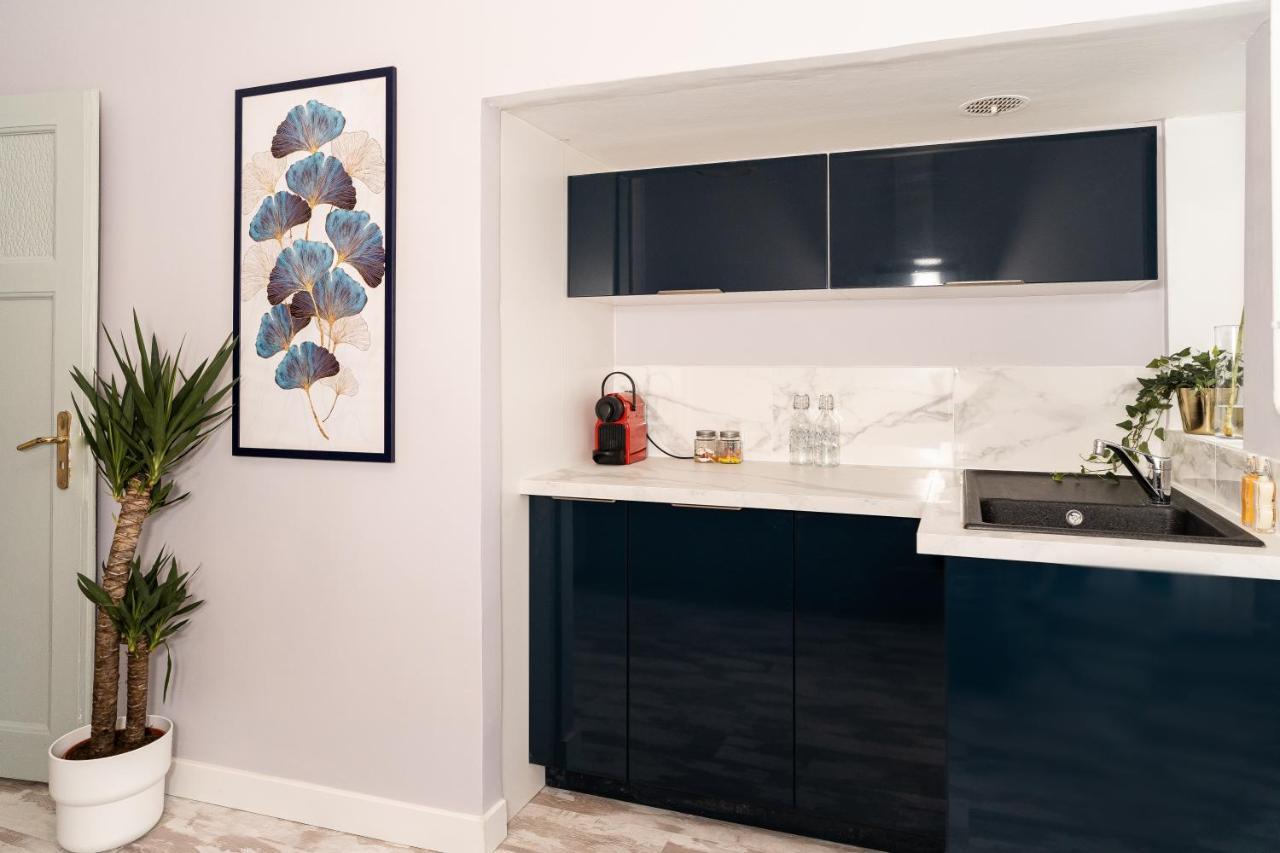 Audace - Magnifique Appartement 75M2 - Position Centrale Gare-Pompidou-Nouvelle Ville - Garage Prive - 2 A 4 Personnes メス エクステリア 写真